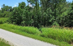 112 Kelly Circle, Nancy, KY 42544