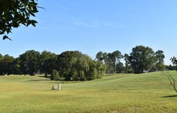 10 N Lake Circle, Manning, SC 29102