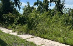 Jasper, FL 32052