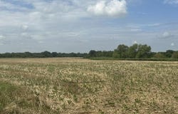Talley Bend Road, Moundville, MO 64771