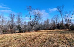 Tract #4 Kirkland Rd, INDIAN MOUND, TN 37079