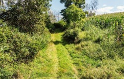 Deibel Road, Stone Creek, OH 43840