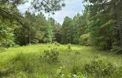 Cr 2322, Rusk, TX 75785