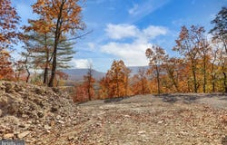 ROUTE 150, AVIS, PA 17721