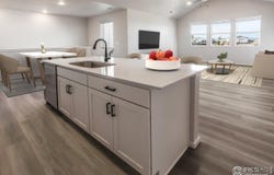 1811 Bounty Dr, Windsor, CO 80550
