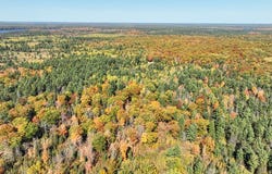ON REED RD, Three Lakes, WI 54562