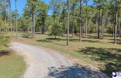 1315 Hill Harrell Road, Effingham, SC 29541-3179