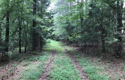 Moores Gin Road, Fairmount, GA 30139