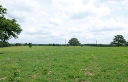 An CR 336, Palestine, TX 75803