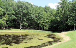 621 CLUB CIRCLE, DANIELS, WV 25832