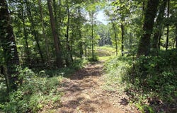 5217 Burnt Rigde Road, Shirley, AR 72153