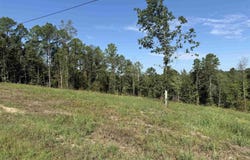 84 Highway, Bismarck, AR 71923