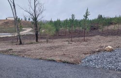 339 Big Sewee Rd, Decatur, TN 37322