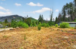 51790 Echo St, BlueRiver, OR 97413