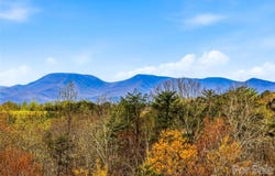 286 Preservation Trail, Columbus, NC 28722