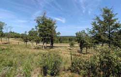 16416 Ridgeline Loop, Winona, TX 75792