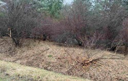 Lexington Avenue, Gladwin, MI 48642