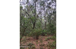 5210 CO RD 214, Keystone Heights, FL 32656
