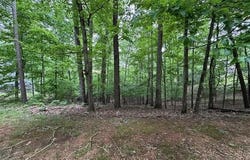 ANDERSON HOLLOW Rd, Savannah, TN 38372
