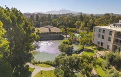 420 N Civic Dr, Walnut Creek, CA 94596