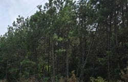 18a Old Edgefield Road, Ninety Six, SC 29666