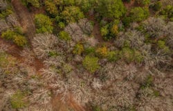 949 CR 154, Nacogdoches, TX 75965