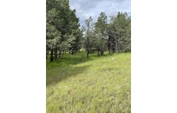 165 Reid Road, Datil, NM 87821