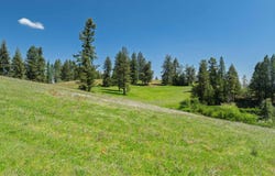 NKA 618acs Freeman Creek Rd, Lenore, ID 83541