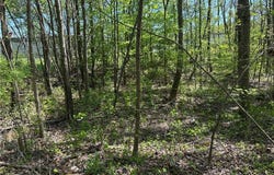 N 411 Highway, Eton, GA 30705