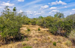 CR 265 TX, Hondo, TX 78861