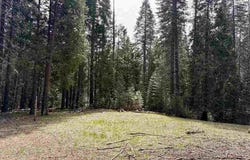 Ut 3 Bk I Lt 8 Mt. Shasta Dr., McCloud, CA 96057