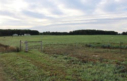 5483 Chief Road, Brethren, MI 49619