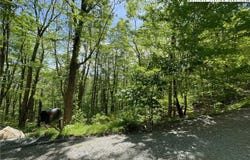 236 Lakeledge Road, Beech Mountain, NC 28604