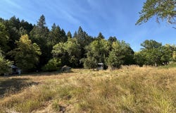 5184 UPPER COW CREEK Rd, Azalea, OR 97410