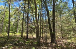 V/L E Koenig Road, Free Soil, MI 49411