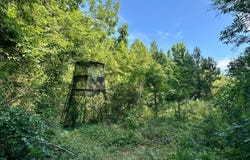 Zoar Road, Chappells, SC 29037