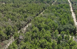 GLORIA Avenue, Interlachen, FL 32148