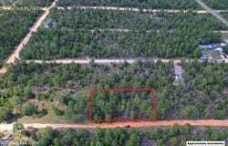 PINE Place, Interlachen, FL 32148