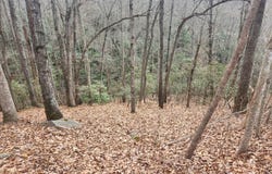 145 Ivywood Lane, Laurel Park, NC 28739