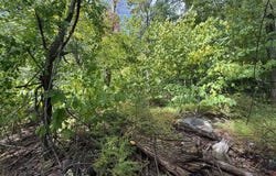 GREAT OAK Lane lot: 94, HARRISBURG, PA 17110