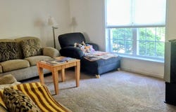 1 Greene St, Athens, OH 45701
