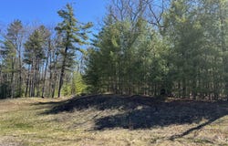 865 Wintree Drive, Indian River, MI 49749