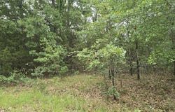 Kickapoo Trail lot: 1007, Mabank, TX 75156