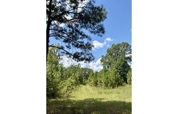 Asseff Road, Mansfield, LA 71052