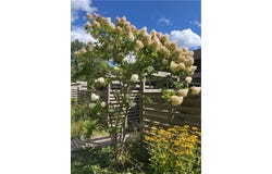 42 Penny Lane, Ithaca, NY 14850