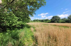 W State Road 18, Delphi, IN 46923