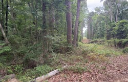 Diamond T Road, Heflin, LA 71039