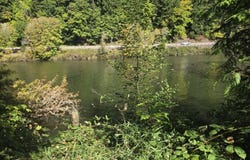 10195 SWEET CREEK Rd, Mapleton, OR 97453