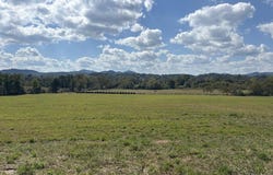 Hayesville, NC 28904