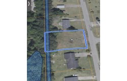 Miller St., Johnsonville, SC 29555